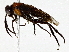  ( - BIOUG93335-H03)  @11 [ ] CreativeCommons - Attribution (2022) CBG Photography Group Centre for Biodiversity Genomics