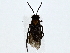  ( - BIOUG91426-G08)  @11 [ ] CreativeCommons - Attribution (2022) CBG Photography Group Centre for Biodiversity Genomics