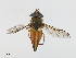  ( - CBG-A16694-H03)  @11 [ ] CreativeCommons - Attribution Share-Alike (2023) CBG Photography Group Centre for Biodiversity Genomics