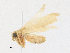  ( - CBG-A16710-B03)  @11 [ ] CreativeCommons - Attribution Share - Alike (2023) CBG Photography Group Centre for Biodiversity Genomics