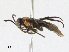 ( - CBG-A16710-C05)  @11 [ ] CreativeCommons - Attribution Share - Alike (2023) CBG Photography Group Centre for Biodiversity Genomics