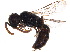  ( - BIOUG17604-H04)  @13 [ ] CreativeCommons - Attribution (2015) CBG Photography Group Centre for Biodiversity Genomics