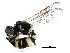  (Philanthus coarctatus - BIOUG17597-A05)  @14 [ ] CreativeCommons - Attribution (2015) CBG Photography Group Centre for Biodiversity Genomics