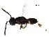  ( - BIOUG18078-F12)  @11 [ ] CreativeCommons - Attribution (2017) CBG Photography Group Centre for Biodiversity Genomics