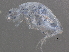  ( - BIOUG18390-H04)  @12 [ ] CreativeCommons - Attribution (2015) CBG Photography Group Centre for Biodiversity Genomics