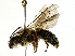  ( - BIOUG80103-H02)  @11 [ ] CreativeCommons - Attribution (2022) CBG Photography Group Centre for Biodiversity Genomics