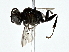  ( - BIOUG80103-H07)  @11 [ ] CreativeCommons - Attribution (2022) CBG Photography Group Centre for Biodiversity Genomics