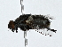  ( - BIOUG80104-G12)  @11 [ ] CreativeCommons - Attribution (2022) CBG Photography Group Centre for Biodiversity Genomics