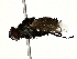  ( - BIOUG80104-H01)  @11 [ ] CreativeCommons - Attribution (2022) CBG Photography Group Centre for Biodiversity Genomics