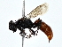  ( - BIOUG80106-C09)  @11 [ ] CreativeCommons - Attribution (2022) CBG Photography Group Centre for Biodiversity Genomics