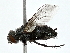  ( - BIOUG80107-A03)  @11 [ ] CreativeCommons - Attribution (2022) CBG Photography Group Centre for Biodiversity Genomics
