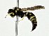  ( - BIOUG80109-D01)  @11 [ ] CreativeCommons - Attribution (2022) CBG Photography Group Centre for Biodiversity Genomics