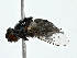  ( - BIOUG80110-A12)  @11 [ ] CreativeCommons - Attribution (2022) CBG Photography Group Centre for Biodiversity Genomics