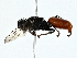  ( - BIOUG80110-D04)  @11 [ ] CreativeCommons - Attribution (2022) CBG Photography Group Centre for Biodiversity Genomics