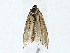  ( - BIOUG80110-E10)  @11 [ ] CreativeCommons - Attribution (2022) CBG Photography Group Centre for Biodiversity Genomics