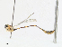  ( - CBG-A15036-A05)  @11 [ ] CreativeCommons - Attribution Share - Alike (2023) CBG Photography Group Centre for Biodiversity Genomics