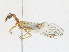  ( - CBG-A16677-B03)  @11 [ ] CreativeCommons - Attribution Share - Alike (2023) CBG Photography Group Centre for Biodiversity Genomics