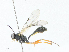  ( - CBG-A17494-G12)  @11 [ ] CreativeCommons - Attribution Share - Alike (2023) CBG Photography Group Centre for Biodiversity Genomics