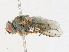  ( - CBG-A17495-A01)  @11 [ ] CreativeCommons - Attribution Share - Alike (2023) CBG Photography Group Centre for Biodiversity Genomics