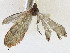  ( - CBG-A15038-D06)  @11 [ ] CreativeCommons - Attribution Share - Alike (2023) CBG Photography Group Centre for Biodiversity Genomics