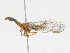  ( - CBG-A17496-B06)  @11 [ ] CreativeCommons - Attribution Share - Alike (2023) CBG Photography Group Centre for Biodiversity Genomics