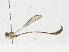  ( - CBG-A17499-D09)  @11 [ ] CreativeCommons - Attribution Share - Alike (2023) CBG Photography Group Centre for Biodiversity Genomics