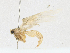  ( - CBG-A17499-F08)  @11 [ ] CreativeCommons - Attribution Share - Alike (2023) CBG Photography Group Centre for Biodiversity Genomics