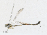  ( - CBG-A17500-A04)  @11 [ ] CreativeCommons - Attribution Share - Alike (2023) CBG Photography Group Centre for Biodiversity Genomics