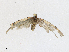  ( - CBG-A17500-C02)  @11 [ ] CreativeCommons - Attribution Share - Alike (2023) CBG Photography Group Centre for Biodiversity Genomics