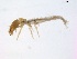 ( - BIOUG00333-G09)  @13 [ ] Unspecified (default): All Rights Reserved  Unspecified Unspecified