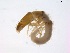  ( - BIOUG00333-H11)  @13 [ ] Unspecified (default): All Rights Reserved  Unspecified Unspecified