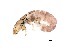 ( - BIOUG00328-D10)  @13 [ ] Unspecified (default): All Rights Reserved  Unspecified Unspecified