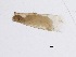  ( - BIOUG00328-E01)  @12 [ ] Unspecified (default): All Rights Reserved  Unspecified Unspecified