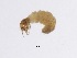  ( - BIOUG00328-F11)  @12 [ ] Unspecified (default): All Rights Reserved  Unspecified Unspecified