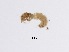  ( - BIOUG00328-F12)  @12 [ ] Unspecified (default): All Rights Reserved  Unspecified Unspecified