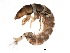  ( - BIOUG00331-A05)  @13 [ ] Unspecified (default): All Rights Reserved  Unspecified Unspecified