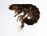  ( - BIOUG00331-D09)  @13 [ ] Unspecified (default): All Rights Reserved  Unspecified Unspecified
