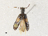  ( - CBG-A31782-C04)  @11 [ ] CreativeCommons - Attribution Share - Alike (2024) CBG Photography Group Centre for Biodiversity Genomics