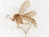  ( - BIOUG39139-G04)  @11 [ ] CreativeCommons - Attribution (2021) CBG Photography Group Centre for Biodiversity Genomics
