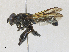  ( - CBG-A27606-D02)  @11 [ ] CreativeCommons - Attribution Share - Alike (2024) CBG Photography Group Centre for Biodiversity Genomics