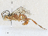  ( - CBG-A31795-E03)  @11 [ ] CreativeCommons - Attribution Share - Alike (2024) CBG Photography Group Centre for Biodiversity Genomics