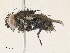  ( - CBG-A33519-H09)  @11 [ ] CreativeCommons - Attribution Share - Alike (2024) CBG Photography Group Centre for Biodiversity Genomics