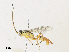  ( - CBG-A33520-G08)  @11 [ ] CreativeCommons - Attribution Share - Alike (2024) CBG Photography Group Centre for Biodiversity Genomics
