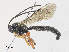  ( - CBG-A30949-F04)  @11 [ ] CreativeCommons - Attribution Share - Alike (2024) CBG Photography Group Centre for Biodiversity Genomics