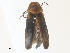 ( - CBG-A30943-G09)  @11 [ ] CreativeCommons - Attribution Share - Alike (2024) CBG Photography Group Centre for Biodiversity Genomics