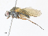  ( - CBG-A30957-B12)  @11 [ ] CreativeCommons - Attribution Share - Alike (2024) CBG Photography Group Centre for Biodiversity Genomics