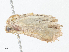 ( - CBG-A08800-D11)  @11 [ ] CreativeCommons - Attribution Share - Alike (2023) CBG Photography Group Centre for Biodiversity Genomics