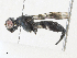  ( - CBG-A31789-C09)  @11 [ ] CreativeCommons - Attribution Share - Alike (2024) CBG Photography Group Centre for Biodiversity Genomics