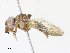  ( - CBG-A31790-D12)  @11 [ ] CreativeCommons - Attribution Share - Alike (2024) CBG Photography Group Centre for Biodiversity Genomics