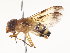  ( - CBG-A46921-E07)  @11 [ ] CreativeCommons - Attribution Share - Alike (2024) CBG Photography Group Centre for Biodiversity Genomics
